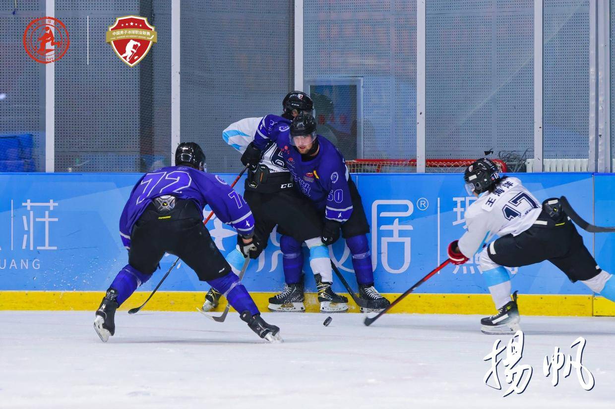 夯实群众基, cente, 沈阳承办高 夯实群众基, cente, 沈阳承办高